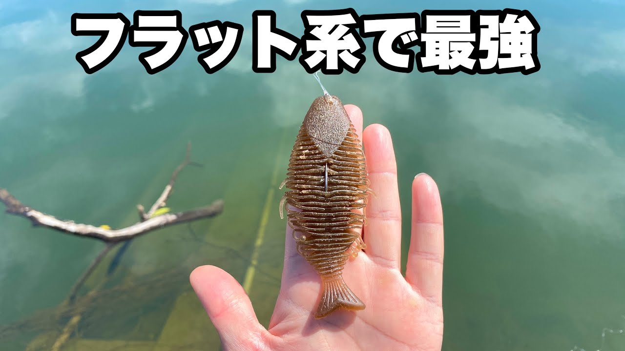 このワーム、やばいくらい釣れるのでその使い方と釣り方を紹介します。