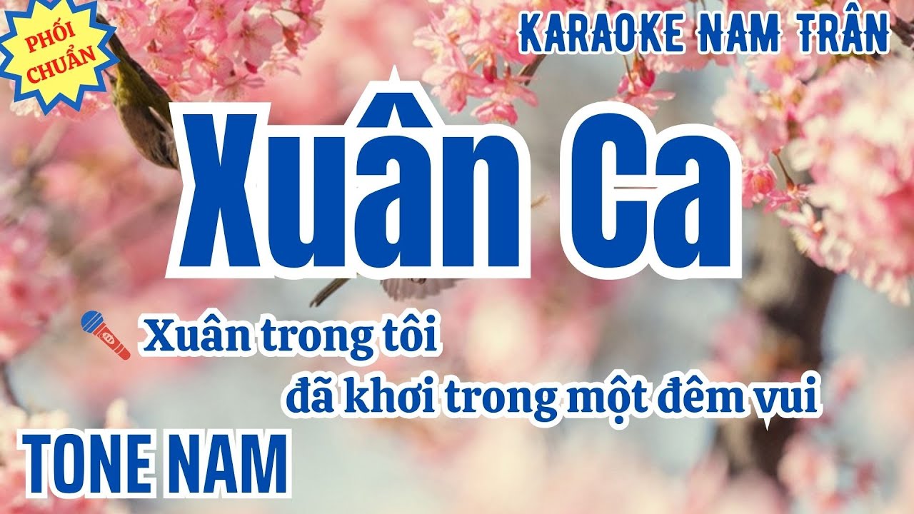 Karaoke Xuân Ca Tone Nam | Nam Trân