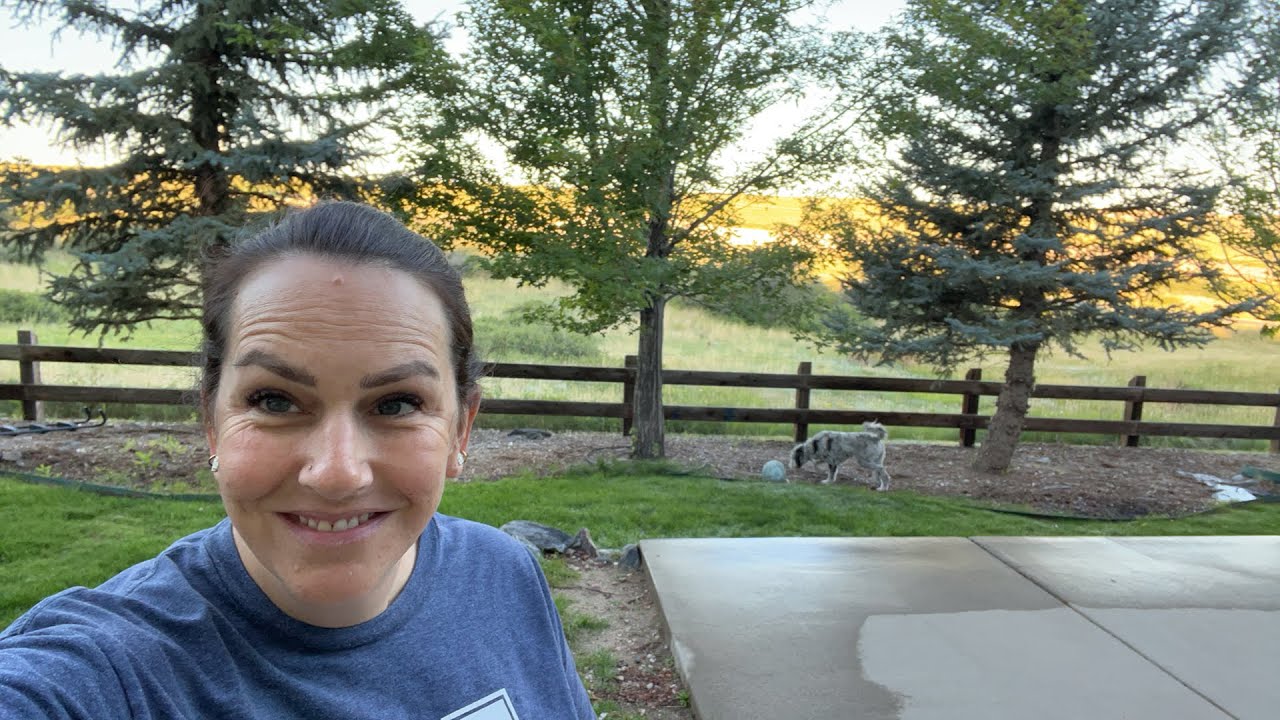 No longer live: Early morning cutting!