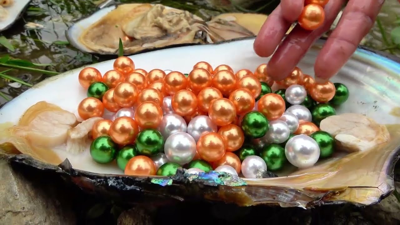 The village flower is picking up clams and pearls in the river, each one is very beautiful
