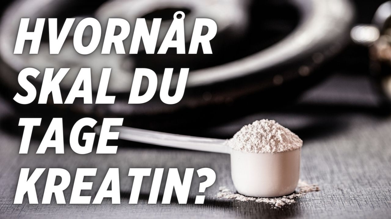 Kreatin, Træning for Styrke og Favoritøvelsen (Q&A)