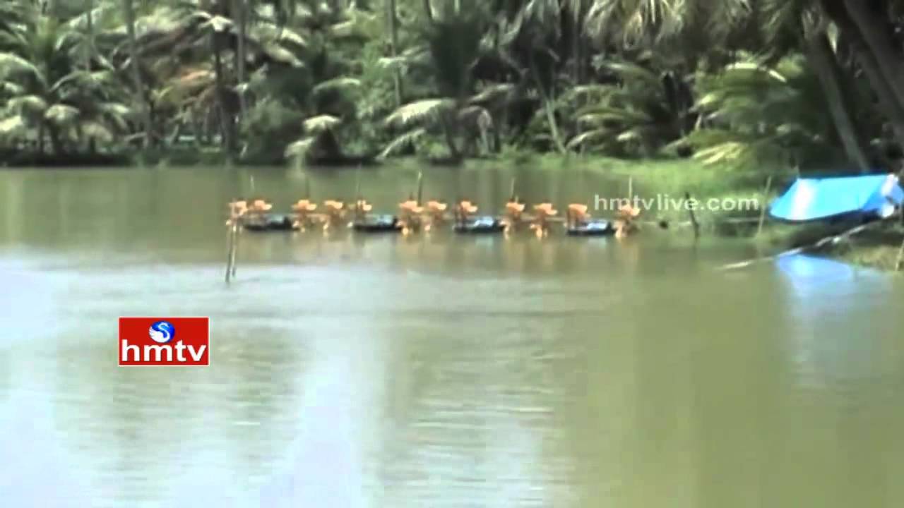 Nela Talli | Cultivation of 