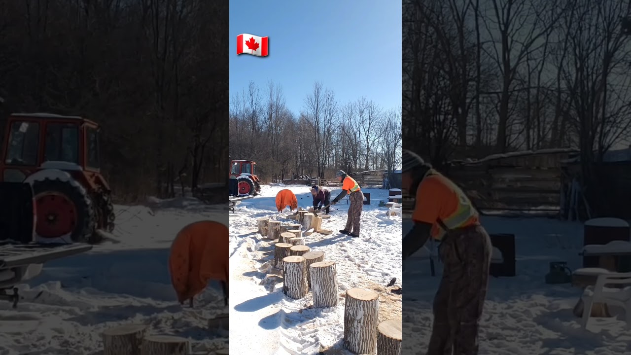 🇨🇦Wood Chopper🇨🇦