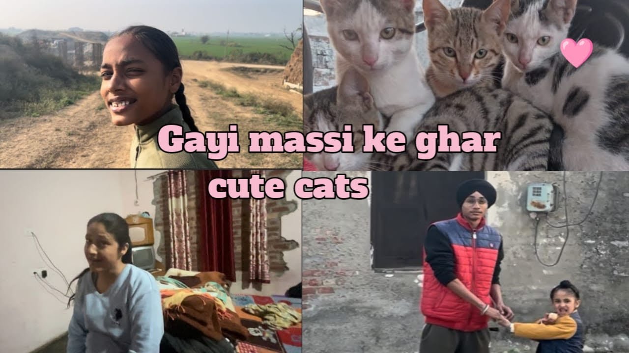 Main gayi apni massi ke ghar 🏠 || Billiyon ne toh dil ko chu liya 💕