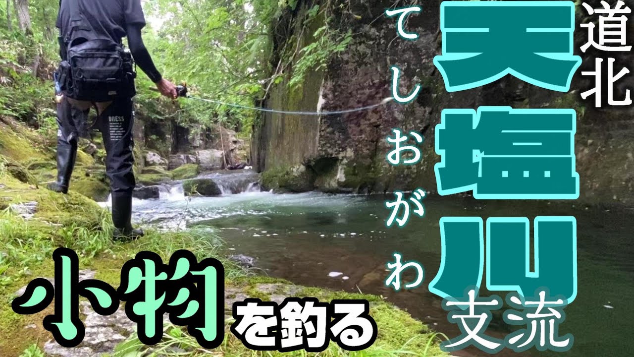 【北海道】天塩川の支流で小物を釣る