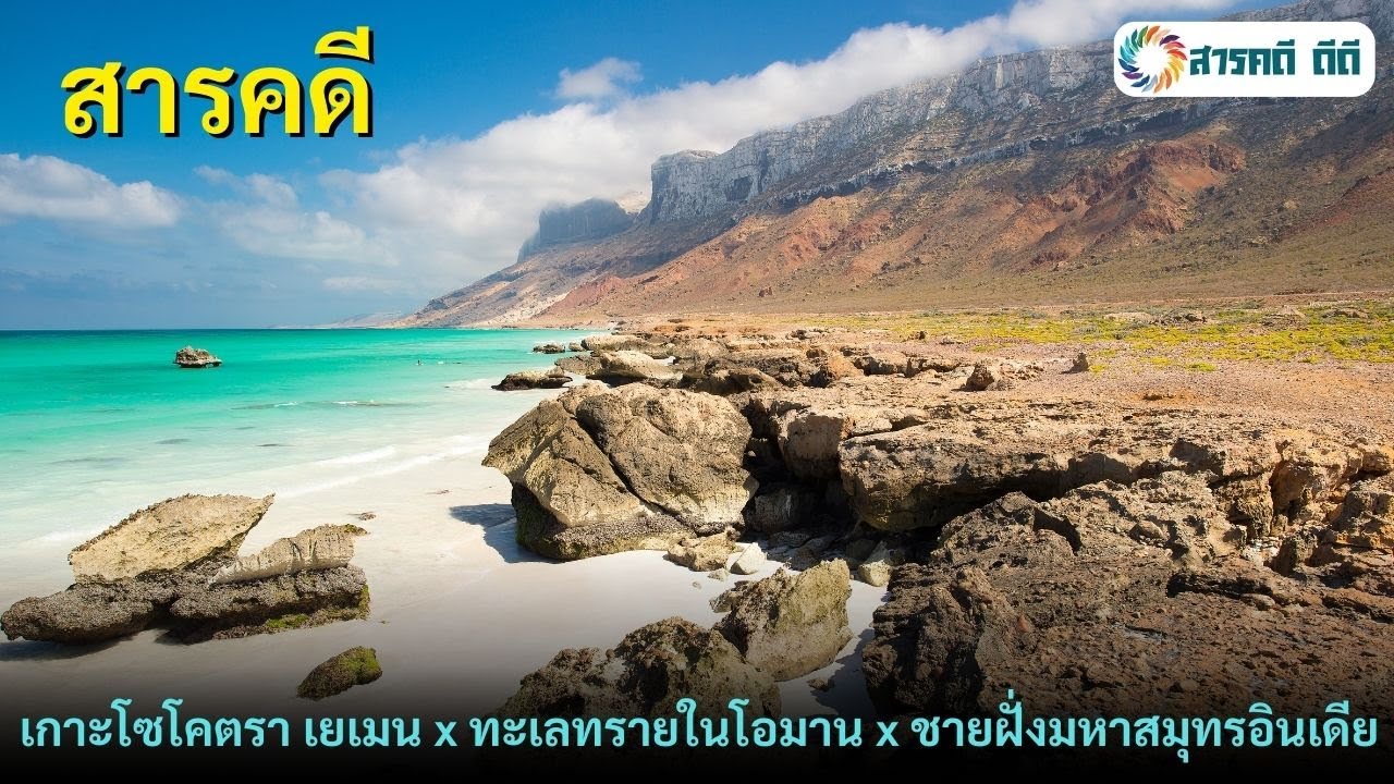 สารคดี เกาะโซโคตรา เยเมน - ทะเลทรายในโอมาน - ชายฝั่งมหาสมุทรอินเดีย สารคดีสำรวจธรรมชาติ