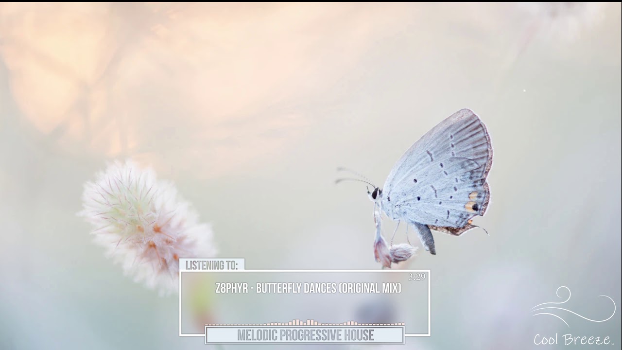Z8phyR - Butterfly Dances (Original Mix) [Free Download] [2019]