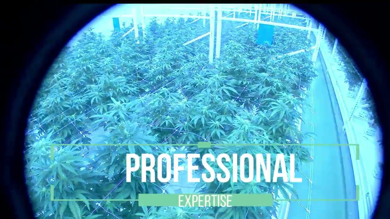 Trichome Facility: What Happens at Night