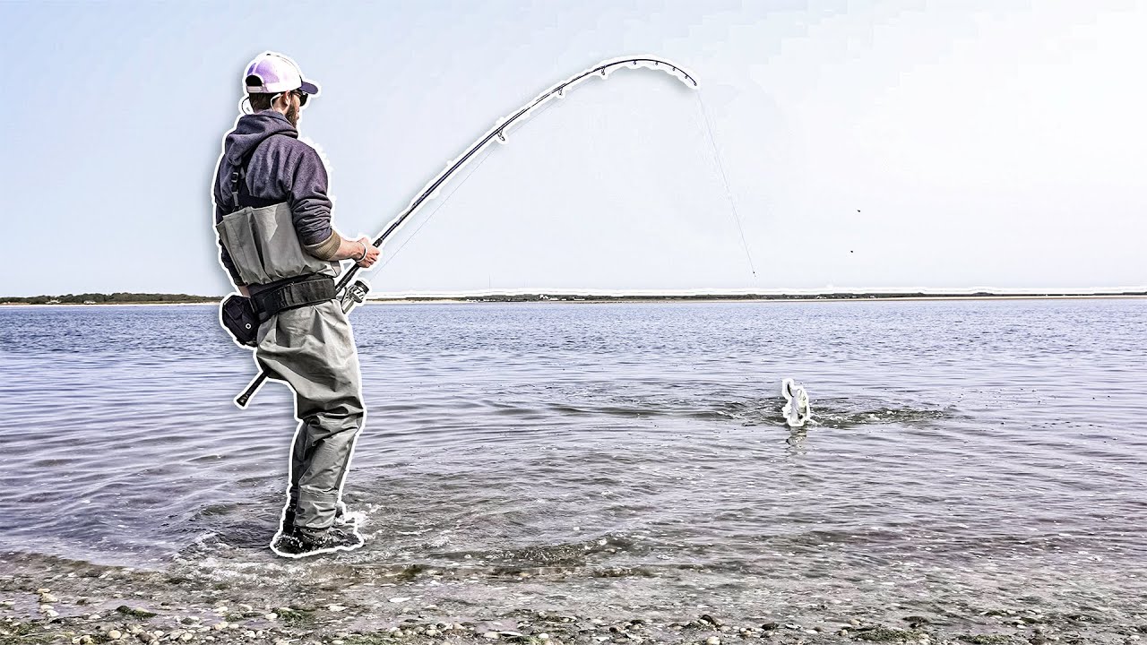 Bluefish Schools in Back Bays of Long Island (SP MINNOWS Bunker Magic Lure) - Smooch and Release