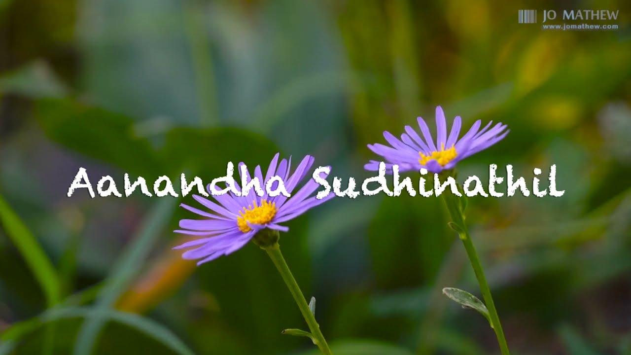 Aanada Sudinathil | TPM Sangeetha Susrusha - Song 600