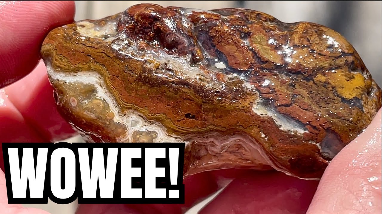 Island Rockhounding: Hunting for Montana Agates and Stunning Jaspers on the Yellowstone River