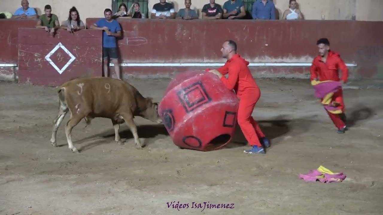 Villarroya de la Sierra (Zaragoza) - 06/08/2022 - Casta Aragonesa - HD