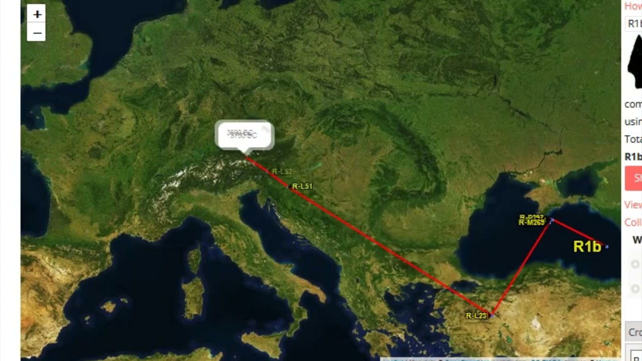 R1b1a2a1a2a Haplogroup R DF27