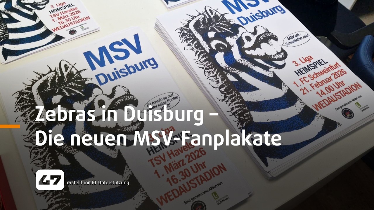 STUDIO 47 .live | ZEBRAS IN DUISBURG – DIE NEUEN MSV-FANPLAKATE