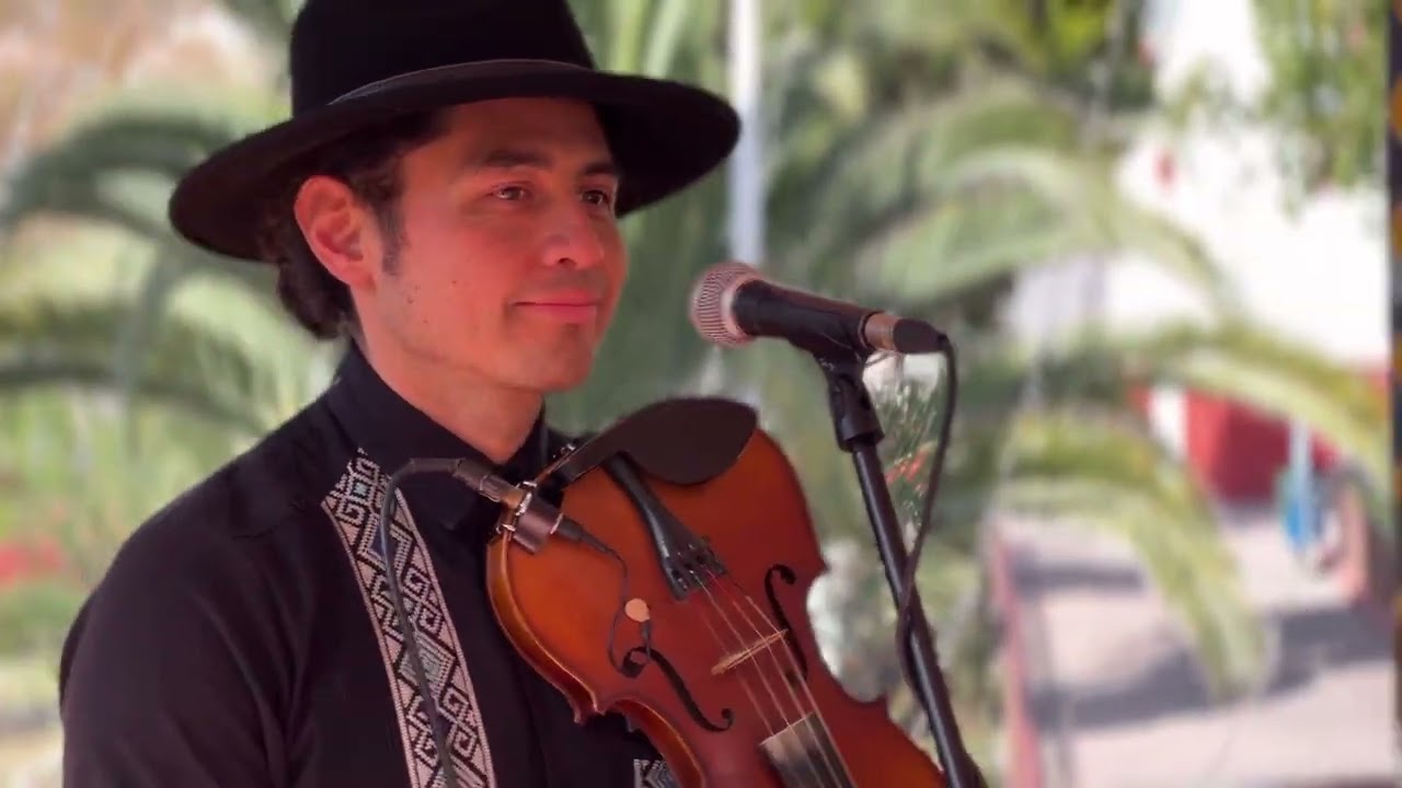 AMOR sesión en vivo SON ZAUTECO 🎻 contrataciones: 2331180086