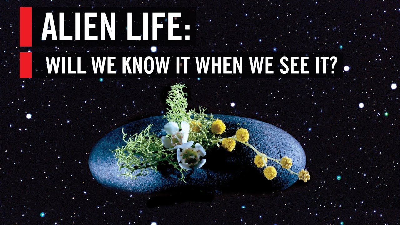 Alien Life: Will We Know It When We See It?