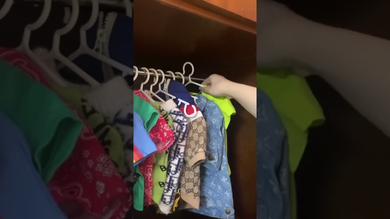Closet Tour Part 2 | My Dog Closet Tour #shorts