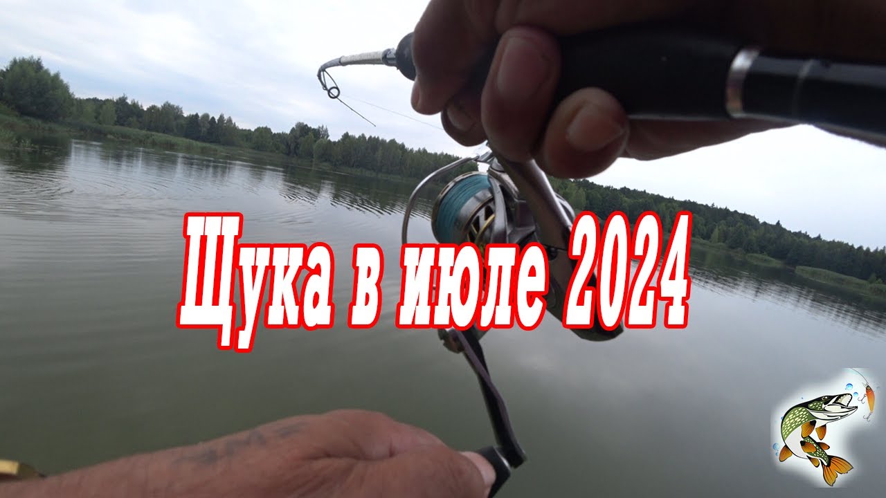 Июльская щука  Наконец-то