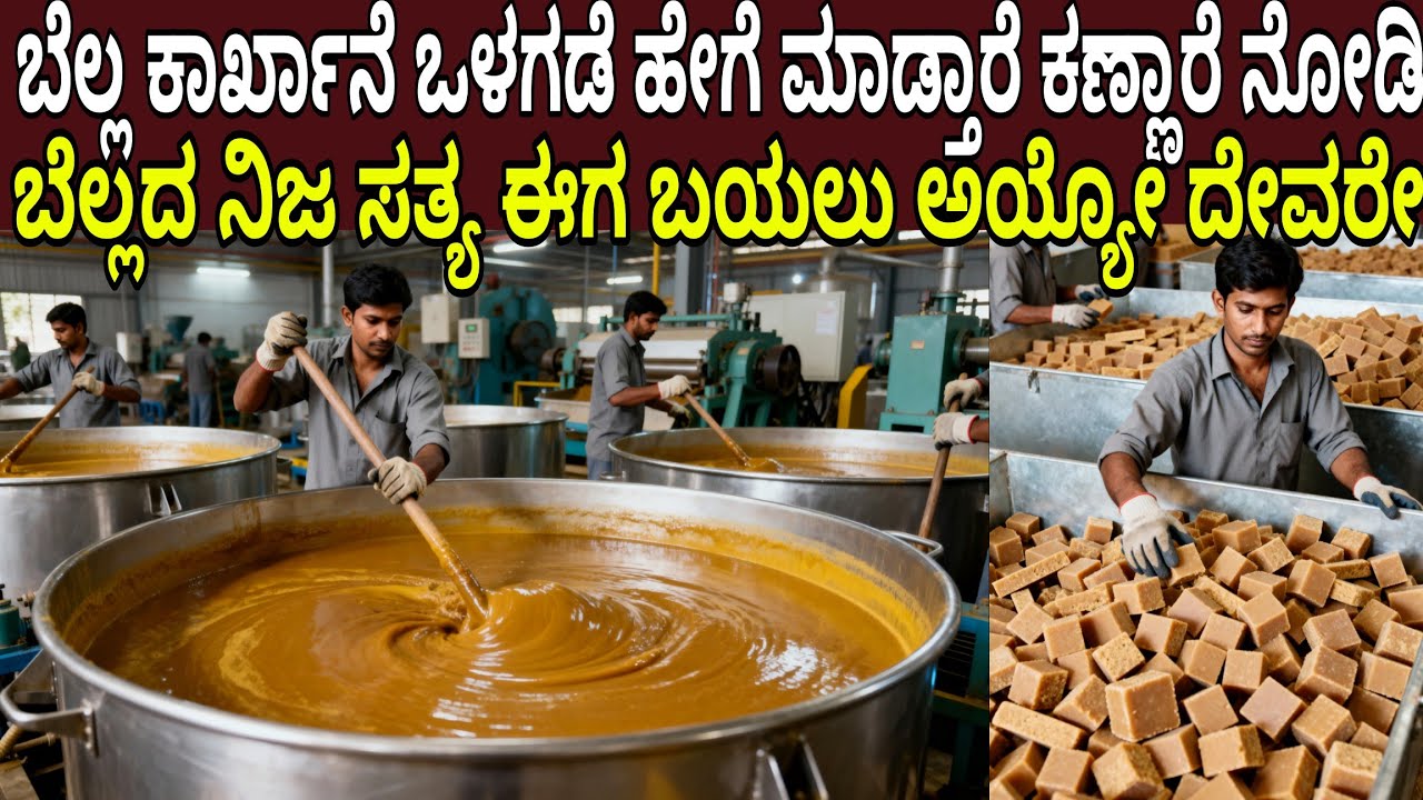 ಬೆಲ್ಲ ಕಾರ್ಖಾನೆ ಒಳಗಡೆ ಹೇಗೆ ಮಾಡ್ತಾರೆ ಕಣ್ಣಾರೆ ನೋಡಿ ಬೆಲ್ಲದ ನಿಜ ಸತ್ಯ ಬಯಲು ಅಯ್ಯೋ ದೇವರೇ | Jaggery Factory