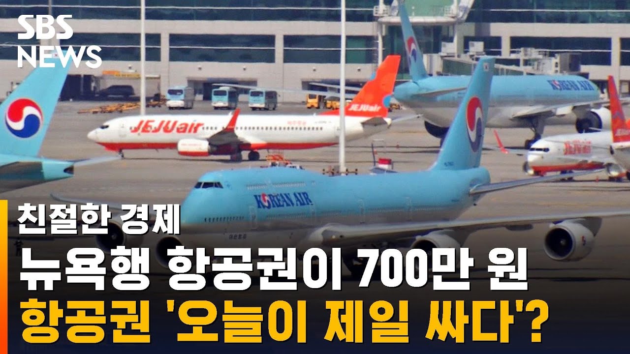 '뉴욕행 항공권이 700만 원'&hellip;치솟는 비행기표 값, 왜? / SBS / 친절한 경제