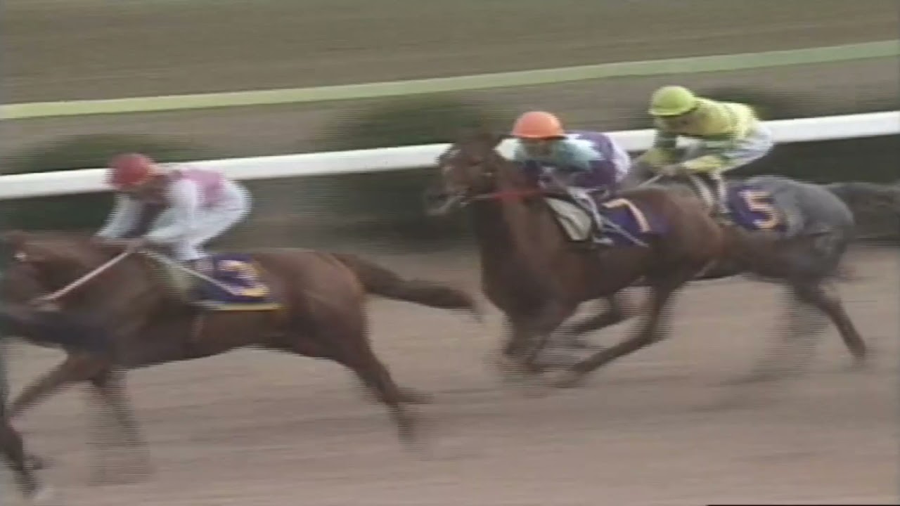 1977年　有馬記念　テンポイントvsトウショウボーイvsグリーングラス