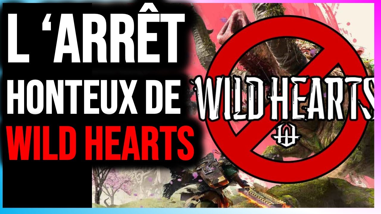 Wild Hearts arr&ecirc;t&eacute; seulement 7 mois apr&egrave;s son lancement ?