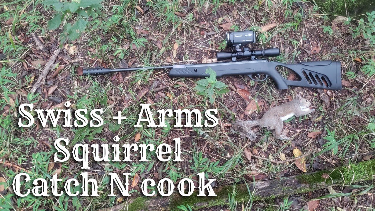 Swiss + Arms Tac 1 Pellet Rifle | Squirrel Catch N' Cook!