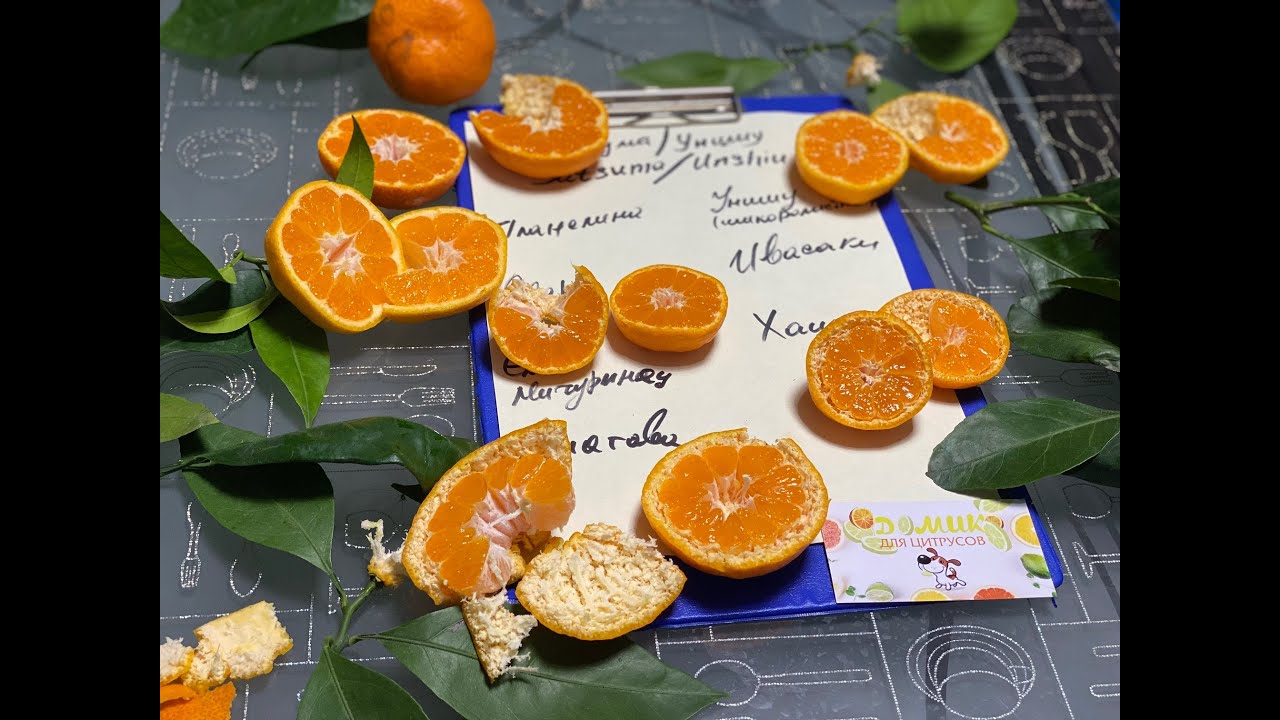 Самая вкусная группа  мандаринов!!! 😉🍊🎄Новым Годом запахло!!!! 😉😁