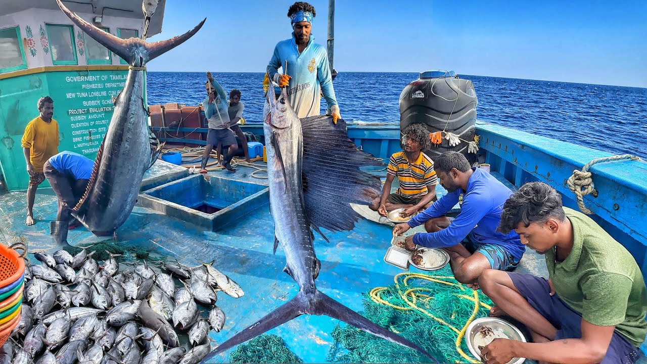 Life at Sea: Fisherman&rsquo;s Incredible Ocean Survival & Massive Catch! Day-07