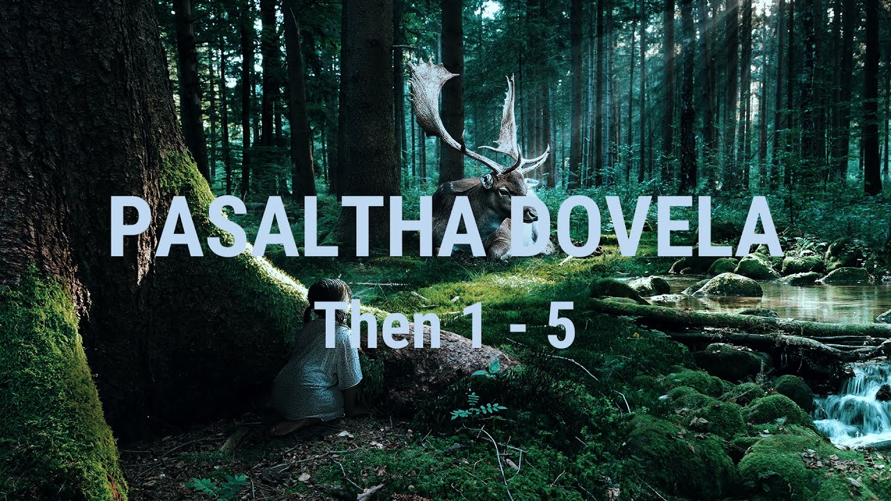 SELUPHAN Pasaltha Dovela (Then 1-5)