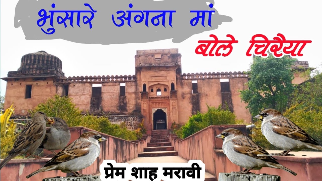 भुंसारे अंगना मां बोले चिरैया !! प्रेमशाह मरावी ! super hit Gondwana song @BhartiyMalik-mb7ky