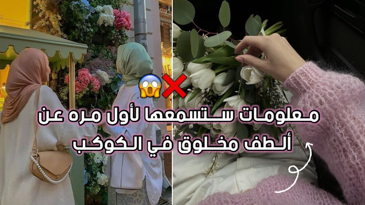 معلومات غريبه عن ألطف كائن￼😨💀