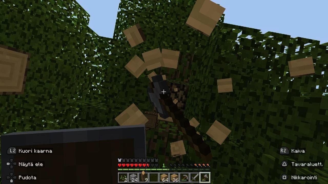 Minecraft survival#2