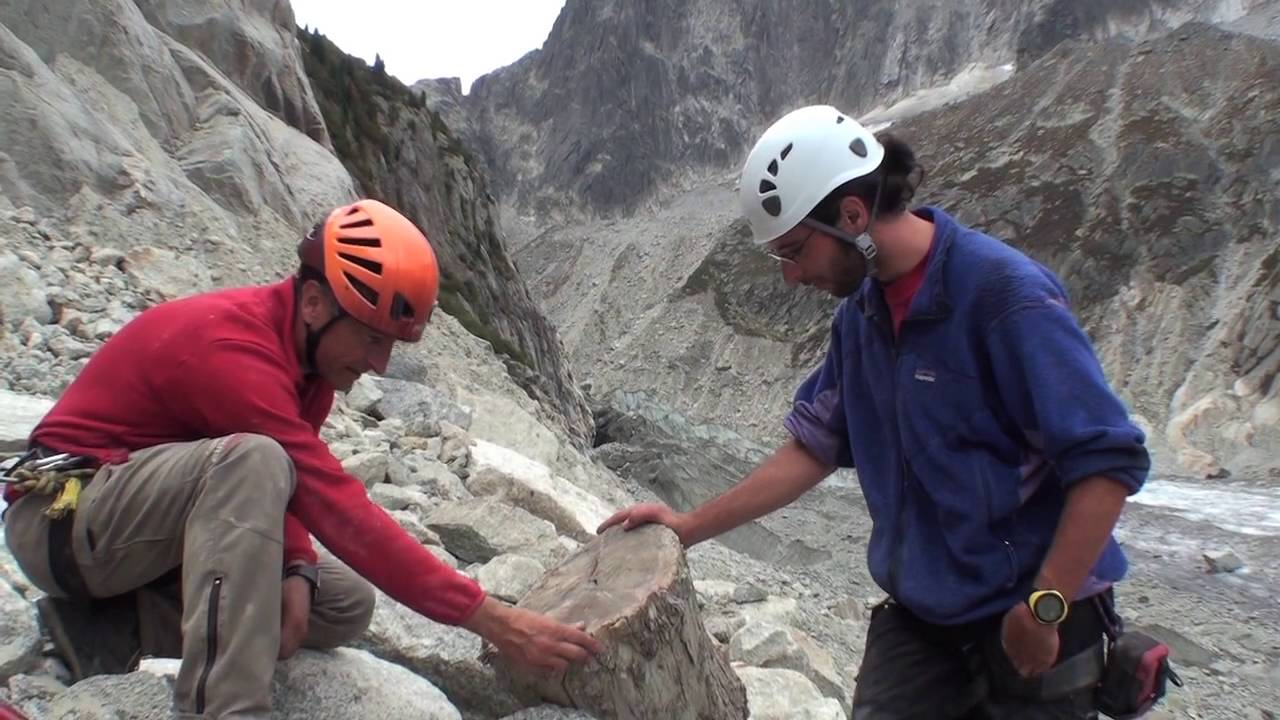L'arbre fossile - Exp&eacute;ditions 1 - Couteaux Le Chamoniard