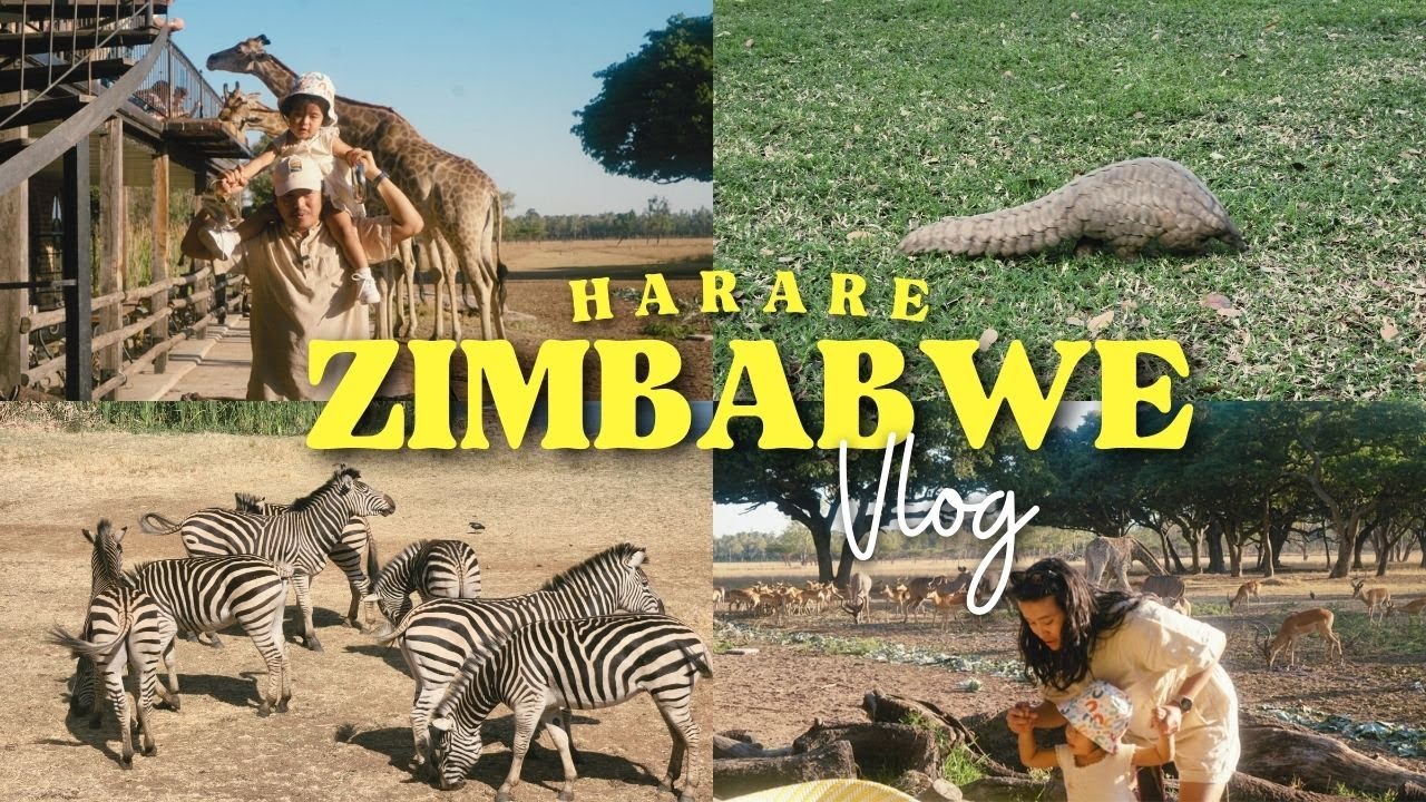 Zimbabwe vlog - exploring Wild is life & Zen, Mukuvisi woodlands, farmer's market and many more .🇿🇼