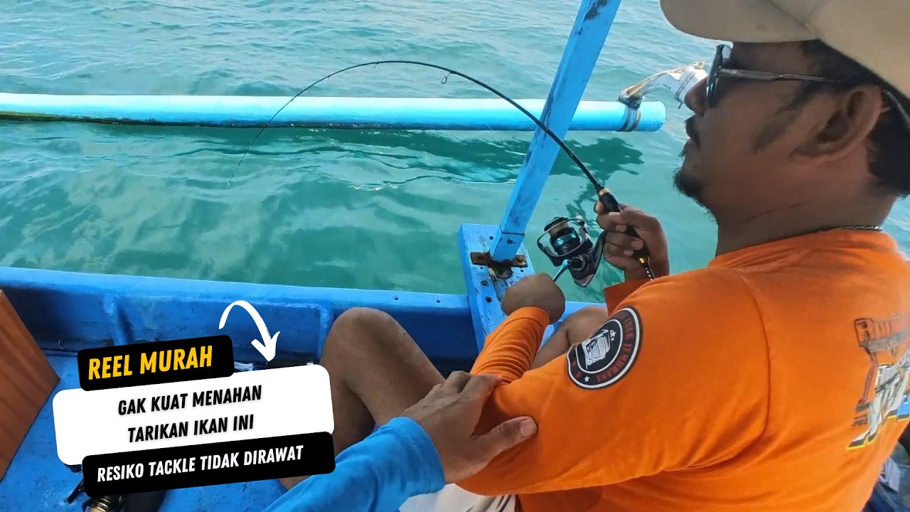 Mancing Dapat Tarikan Ikan Besar Sampe Reel Rompol