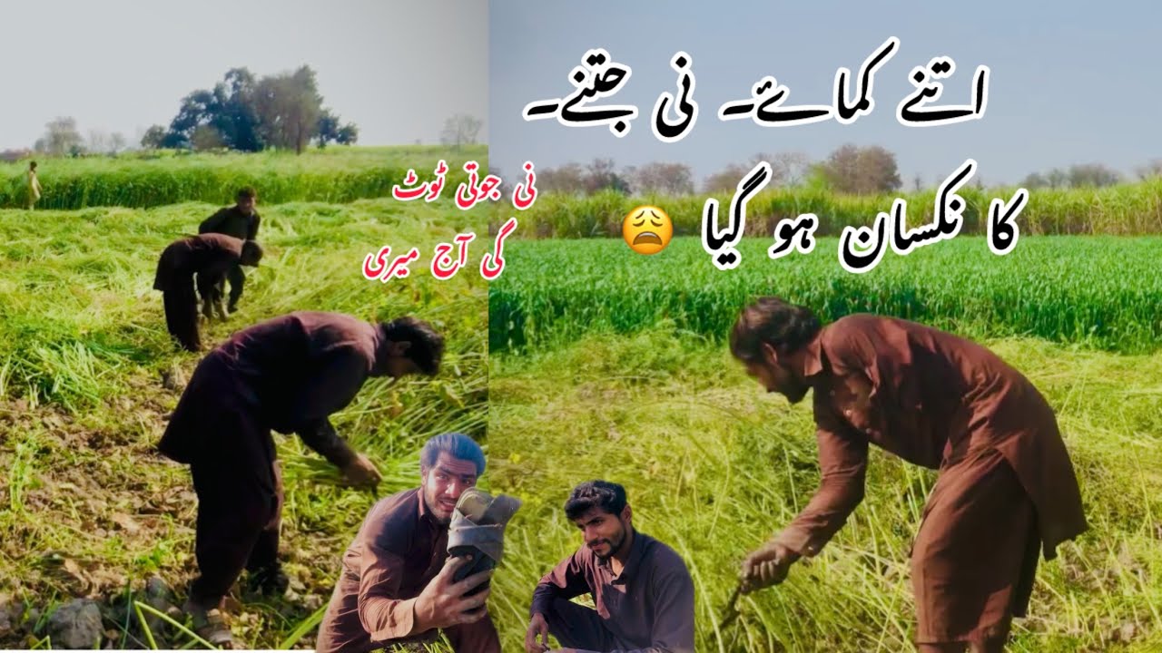 itne kamae Nahin jitne ka nuksan ho gaya😩۔ نی جاتی ٹوٹ گئ آج میری۔  my now vlog  Sagar Ali Channar 