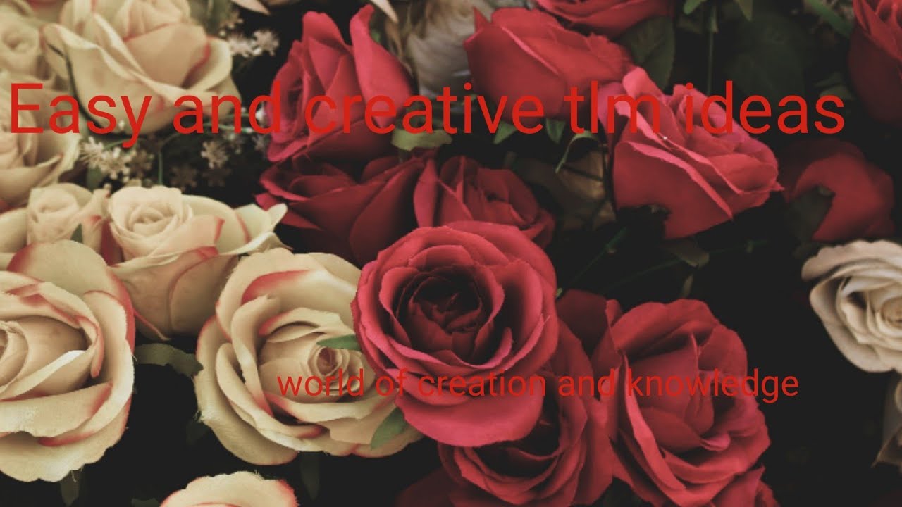 TLM ideas for school children