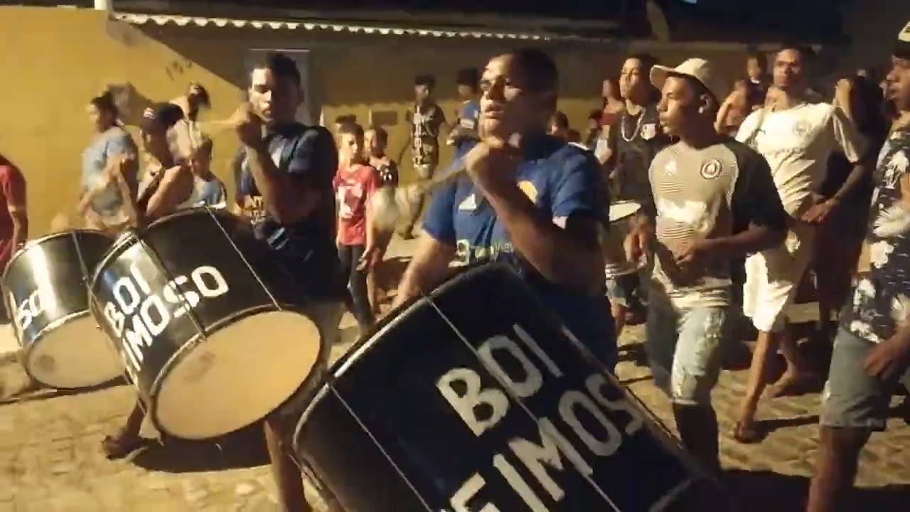 Boi Teimoso