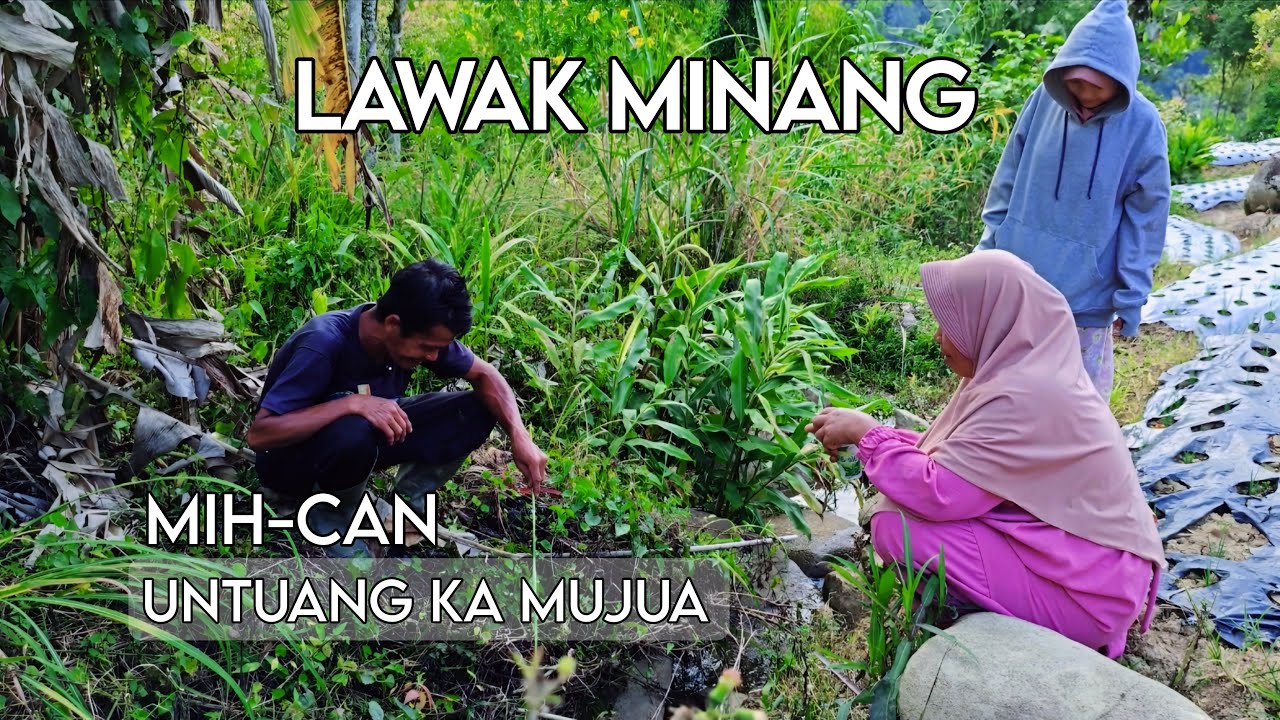 LAWAK MINANG TERBARU | MIH-CAN - UNTUANG KA MUJUA | MINANG LUCU | MINANG BAGARAH | KOCAK