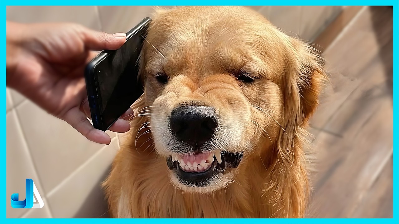 When Your Dog is a Professional Drama Queen 😂 Funniest Overreacting Pets Compilation 2026