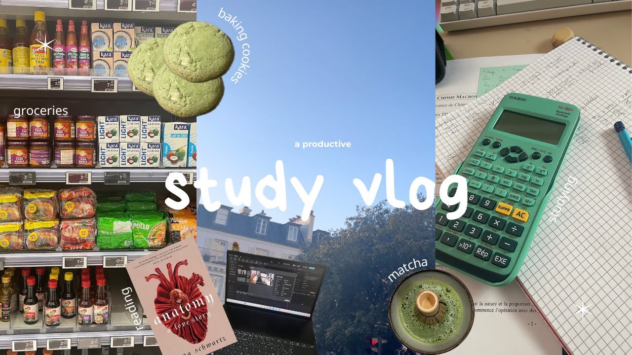 STUDY VLOG 📓 | on essaye d'être productive (révision, cooking, organisation, rangement...)