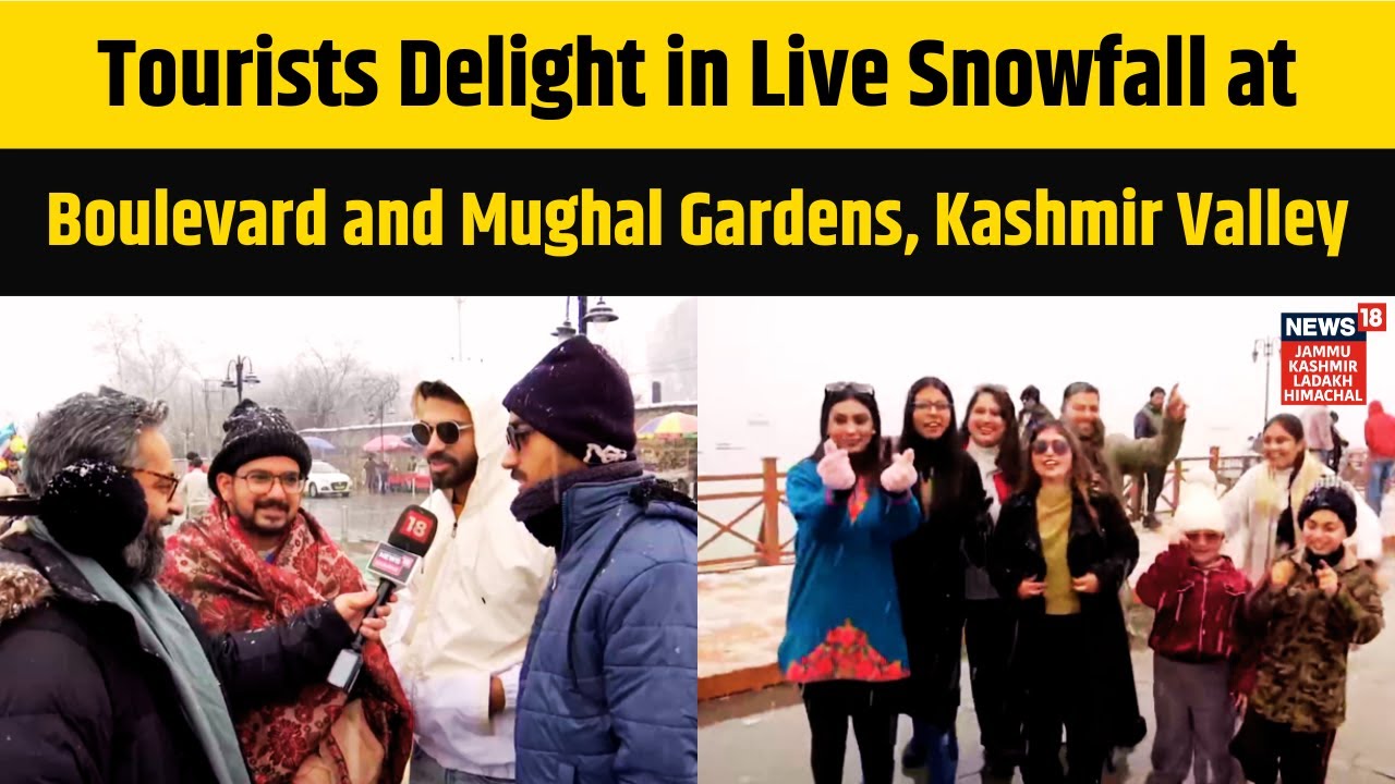 Tourists Delight in Live Snowfall at Boulevard and Mughal Gardens, Kashmir Valley |News18 JKLH |N18V
