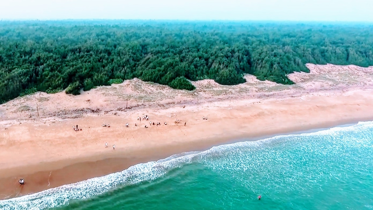 Balukhand Reserve Forest Beach, Odisha | Drone compilation