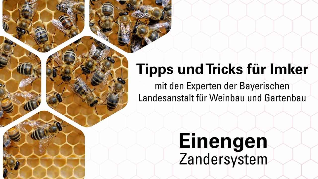 Imkerpraxis: Einengen der Bienen - Zandersystem