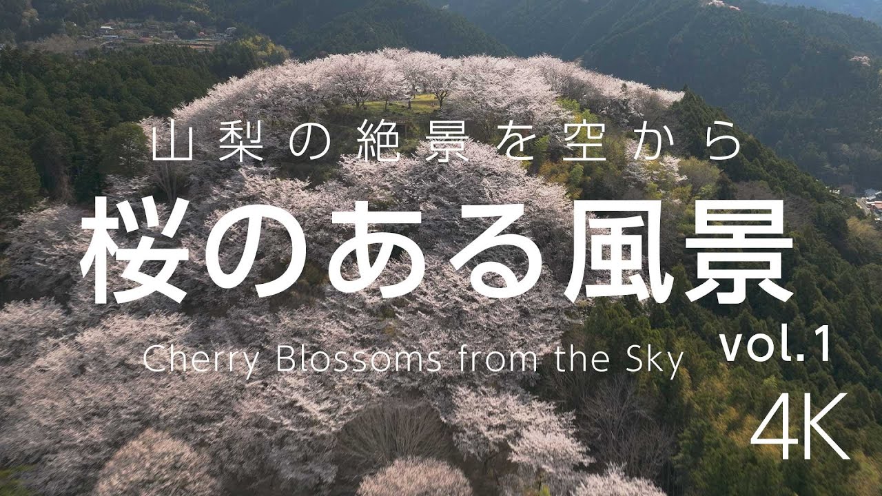 桜のある風景｜山梨 春の絶景を空から 4K