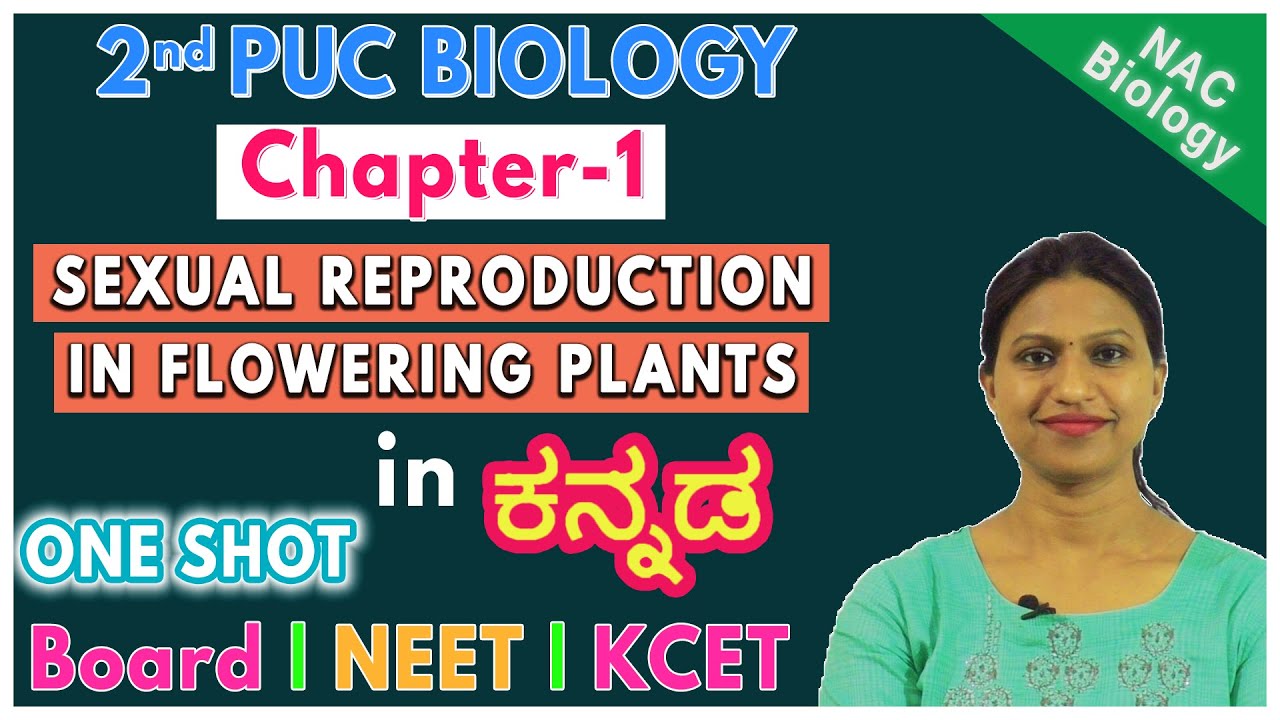 Sexual Reproduction in Flowering Plants Class 12 in kannada | KCET | NEET 2026