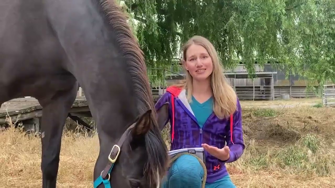 Stay in the Saddle: Dasha and Chance’s Journey