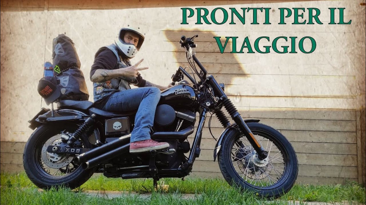 Harley Davidson Dyna sissi bar homemade #harleydavidson #dynastreetbob