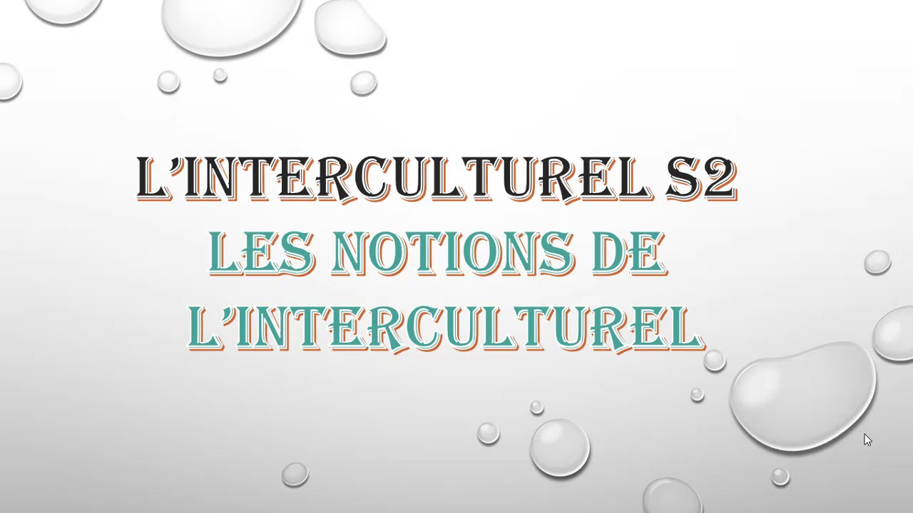 Introduction à l'interculturel S2 : les notions de l'interculturel
